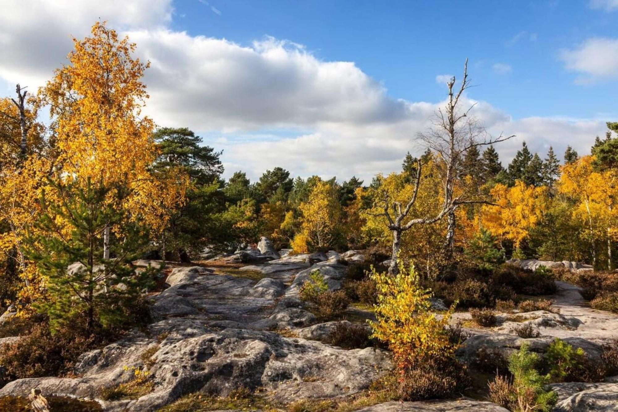 Vue Chateau Fontainebleau - Chez Lydia Villa Buitenkant foto